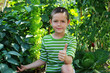 gardener