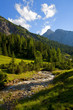 Waldlandschaft mit Bach