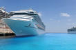 Details der Fotografie Kreuzfahrt-Schiffe angedockt in Tropical Port