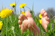 Frühling