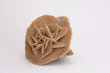rose des sables 12