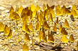 Crowded yellow butterfly Crowded yellow butterfly