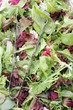 Mesclun salad mix with tongs