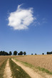 feldweg