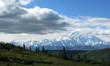 Denali's Mt McKinley