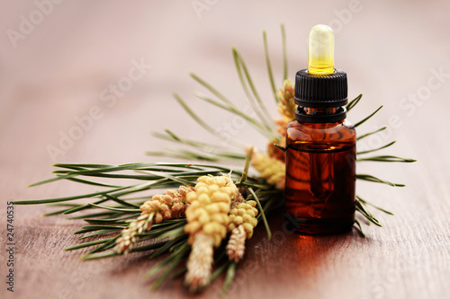Photo: fir tree essential oil fir tree essential oil