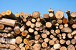 Foto: Holzstapel, stack of wood Holzstapel, stack of wood