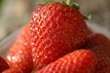 fragola