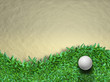 Golf ball on grass Golf ball on grass