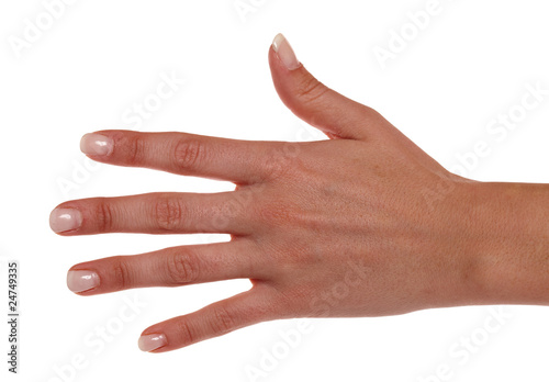 Foto: Linke Hand einer Frau Linke Hand einer Frau