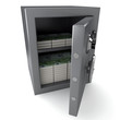 Euro money safe