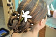 chigon au salon