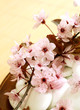 spring branch with pink flowers and stones