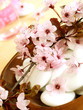 spa composition of stones and spring branch with pink flowers