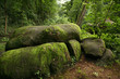 Ancient forest with big stones