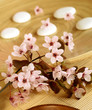 spa composition of stones and spring branch with flowers