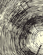 Wood cross section background