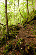 Felsen