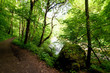 wandern