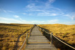 Dune Walkway