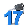 Führerschein mit 17 - Blau Führerschein mit 17 - Blau