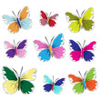 butterflies set