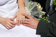 Hands