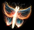 a fiery butterfly with different colored flames