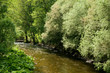 Foto: ruhiger Wildbach ruhiger Wildbach