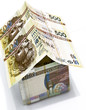 Money house made from hong kong dollars