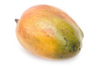 mangue