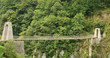Passerelle - Holzarte