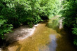 ruhiger Wildbach
