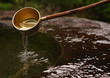 Japanese temple drinking water