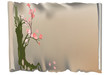 parchment and tree with pink flowers - vector EPS10