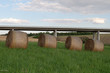 Strohrollen