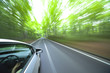 car driving fast into forest.