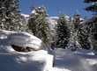 Foto: Winterspaziergang Winterspaziergang
