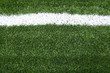 Soccer field with white lines on grass Soccer field with white lines on grass
