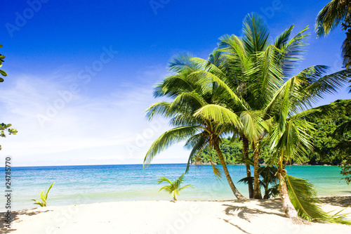 Photo: Englishman's Bay, Tobago Englishman's Bay, Tobago