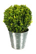 buis en pot acier décoratif et design pour jardin élégant buis en pot acier décoratif et design pour jardin élégant