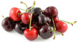 cerises, fond blanc