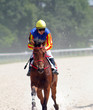 Horse race.