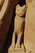 Photographie : Cat Sand Sculpture