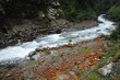 _DSC9630
