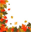 Autumn background vector