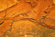 orange foam texture