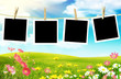 Photo: Spring photos Spring photos