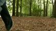 Verfolgung im Wald