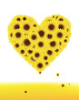 Sunflowers heart shape for your design, summer